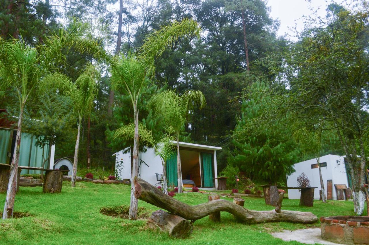 Romanticas Cabañas En Bosque Acaxochitlán Exterior foto