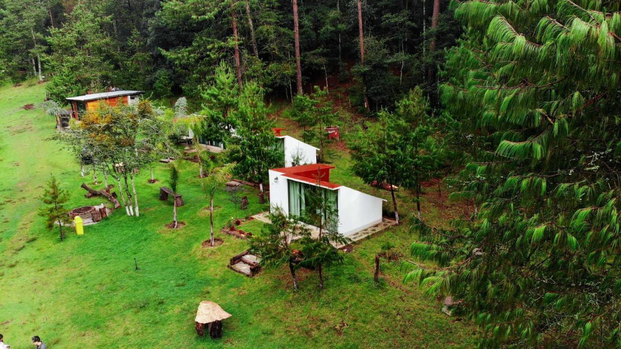 Romanticas Cabañas En Bosque Acaxochitlán Exterior foto